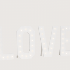 Love Leuchtschild Holz XXL